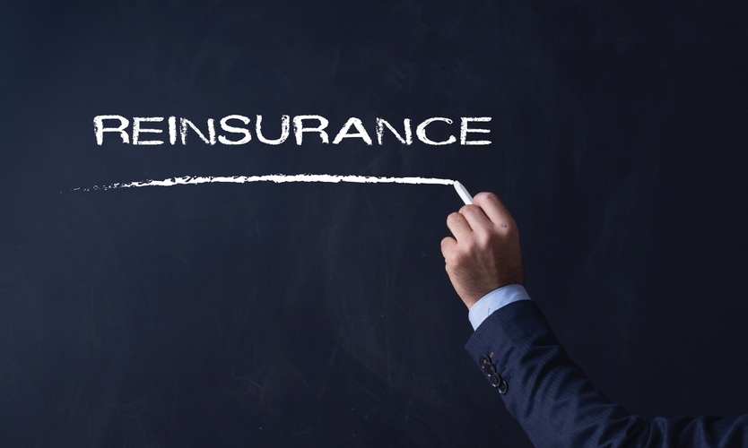 What is Reinsurance in Insurance
